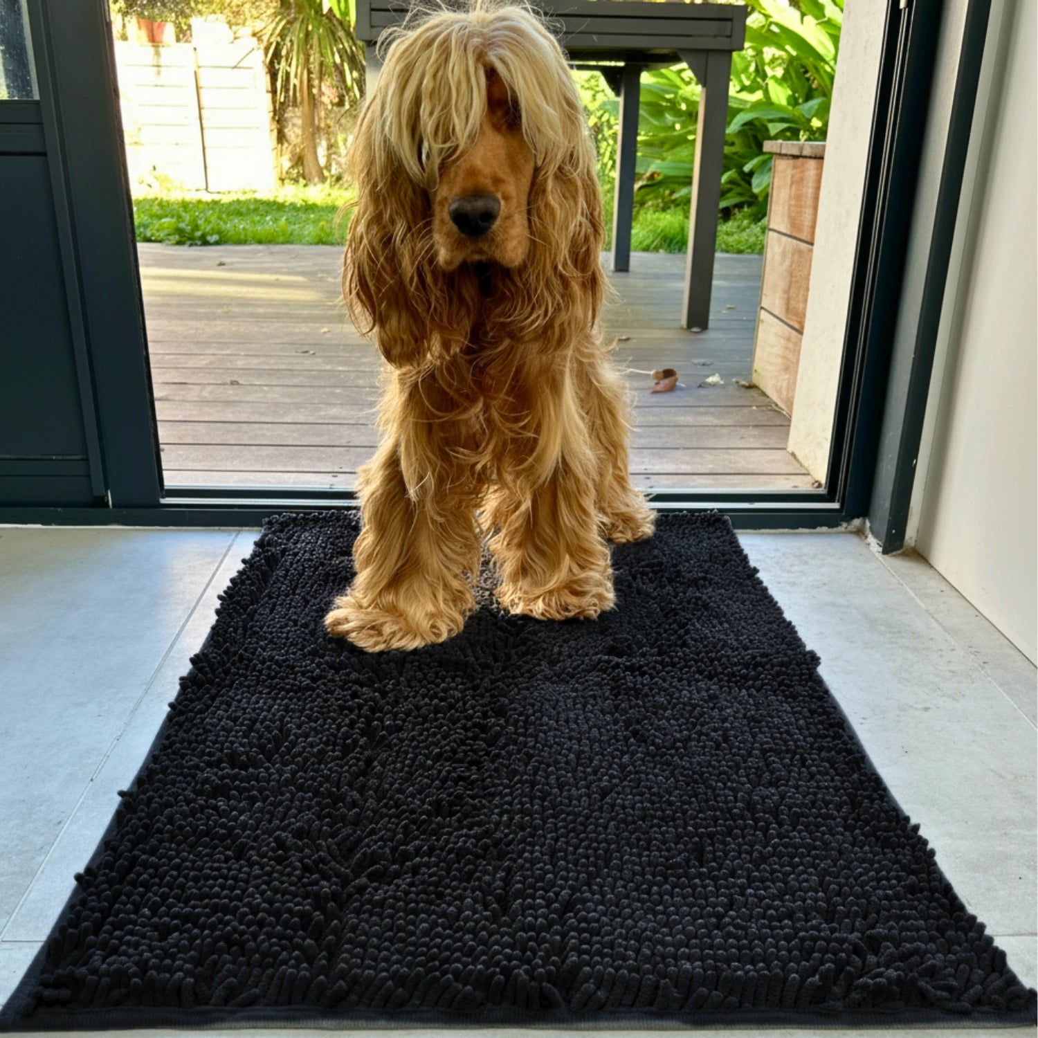 LE TAPIS ANTI BOUE POUR CHIEN - TEIKI™