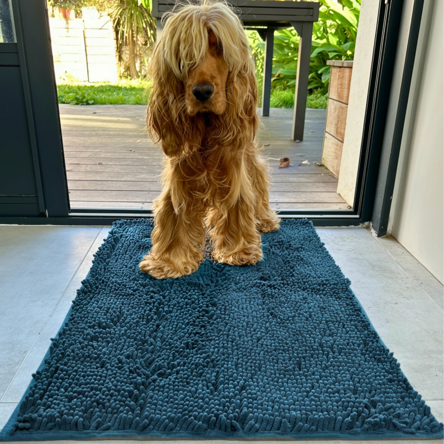 LE TAPIS ANTI BOUE POUR CHIEN - TEIKI™