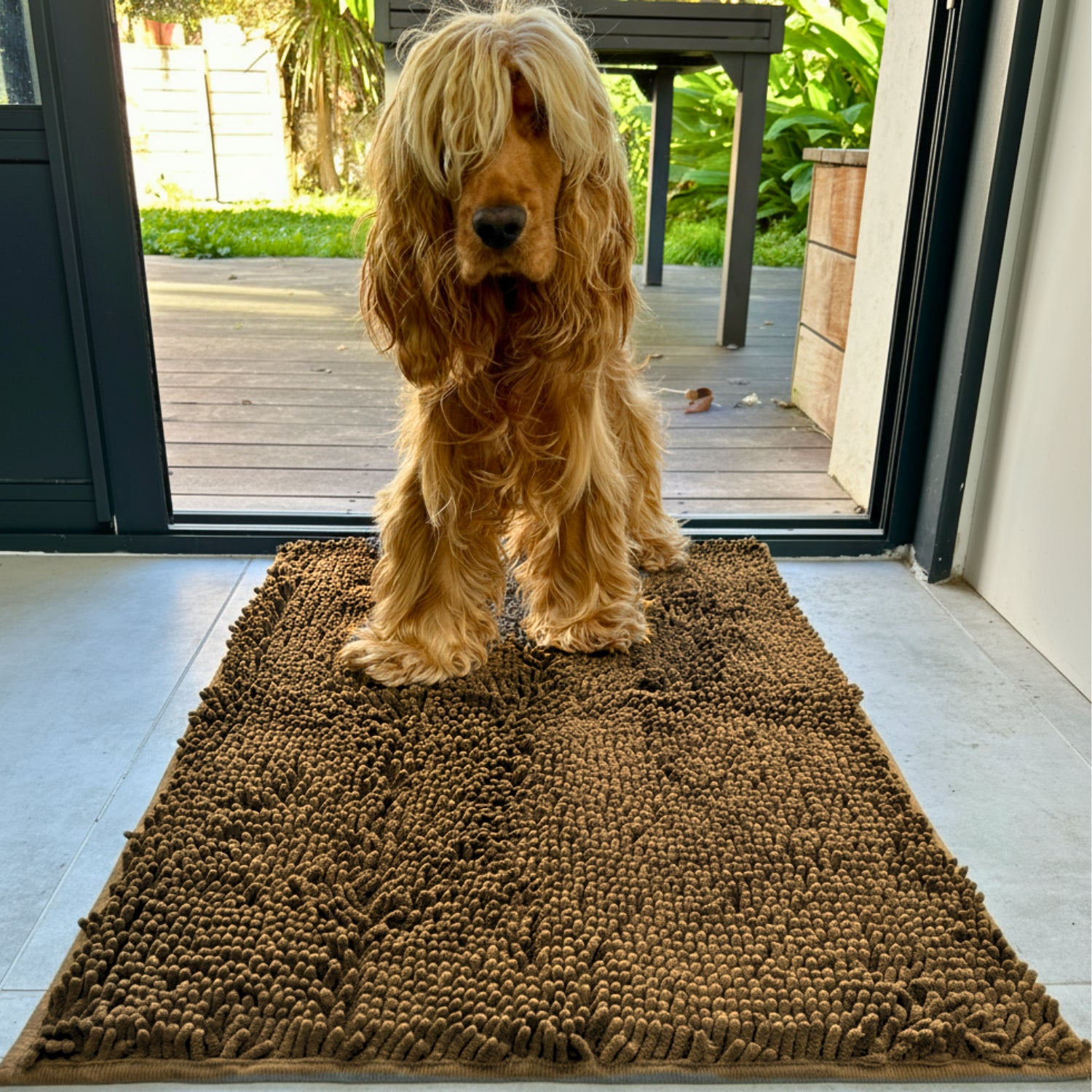 LE TAPIS ANTI BOUE POUR CHIEN - TEIKI™