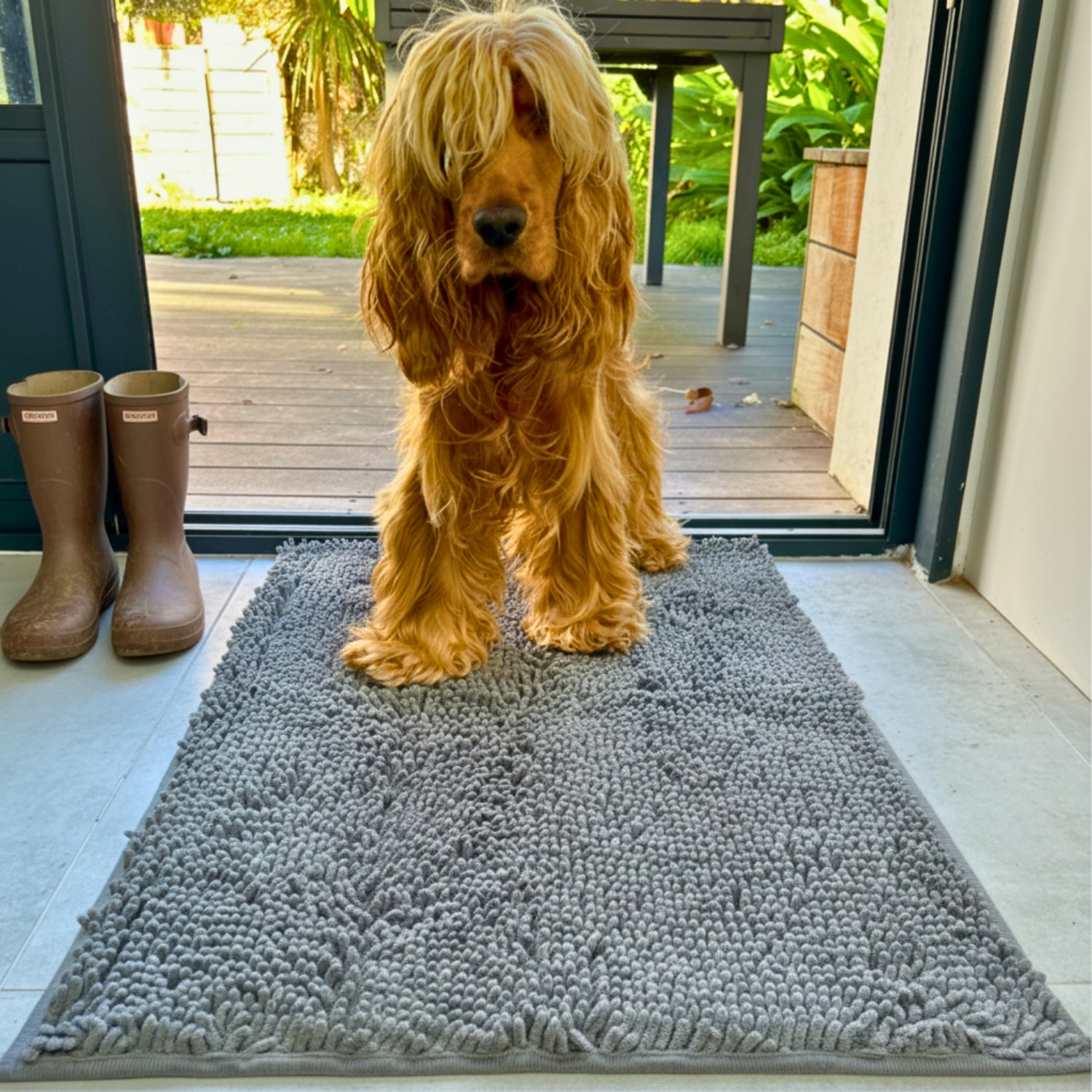 LE TAPIS ANTI BOUE POUR CHIEN - TEIKI™